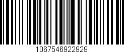 Código de barras (EAN, GTIN, SKU, ISBN): '1067546922929'