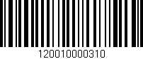 Código de barras (EAN, GTIN, SKU, ISBN): '120010000310'