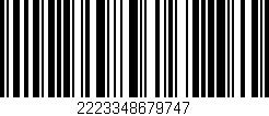 Código de barras (EAN, GTIN, SKU, ISBN): '2223348679747'