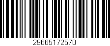 Código de barras (EAN, GTIN, SKU, ISBN): '29665172570'