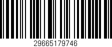 Código de barras (EAN, GTIN, SKU, ISBN): '29665179746'