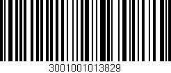 Código de barras (EAN, GTIN, SKU, ISBN): '3001001013829'