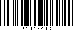 Código de barras (EAN, GTIN, SKU, ISBN): '3919171572834'