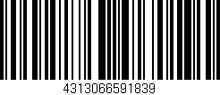 Código de barras (EAN, GTIN, SKU, ISBN): '4313066591839'