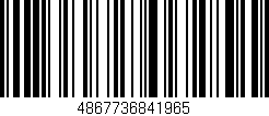 Código de barras (EAN, GTIN, SKU, ISBN): '4867736841965'