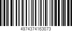 Código de barras (EAN, GTIN, SKU, ISBN): '4974374163073'
