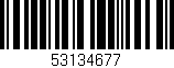 Código de barras (EAN, GTIN, SKU, ISBN): '53134677'