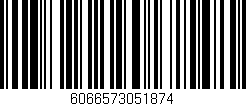 Código de barras (EAN, GTIN, SKU, ISBN): '6066573051874'