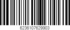 Código de barras (EAN, GTIN, SKU, ISBN): '6236107629903'