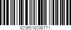 Código de barras (EAN, GTIN, SKU, ISBN): '6236516206771'