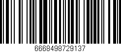 Código de barras (EAN, GTIN, SKU, ISBN): '6668498729137'