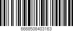 Código de barras (EAN, GTIN, SKU, ISBN): '6668508403163'