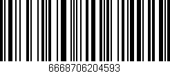 Código de barras (EAN, GTIN, SKU, ISBN): '6668706204593'