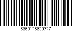 Código de barras (EAN, GTIN, SKU, ISBN): '6669175630777'