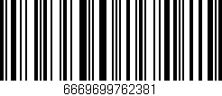 Código de barras (EAN, GTIN, SKU, ISBN): '6669699762381'