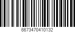 Código de barras (EAN, GTIN, SKU, ISBN): '6673470410132'