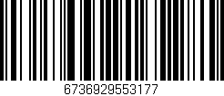 Código de barras (EAN, GTIN, SKU, ISBN): '6736929553177'