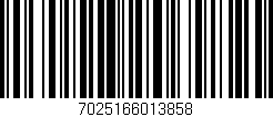 Código de barras (EAN, GTIN, SKU, ISBN): '7025166013858'