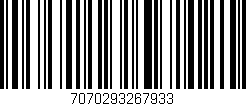 Código de barras (EAN, GTIN, SKU, ISBN): '7070293267933'