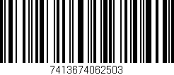 Código de barras (EAN, GTIN, SKU, ISBN): '7413674062503'