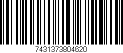 Código de barras (EAN, GTIN, SKU, ISBN): '7431373804620'