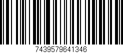 Código de barras (EAN, GTIN, SKU, ISBN): '7439579641346'