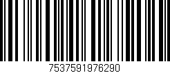 Código de barras (EAN, GTIN, SKU, ISBN): '7537591976290'