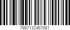 Código de barras (EAN, GTIN, SKU, ISBN): '7897132467091'