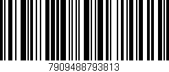 Código de barras (EAN, GTIN, SKU, ISBN): '7909488793813'