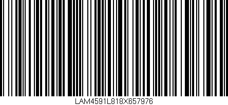 Código de barras (EAN, GTIN, SKU, ISBN): 'LAM4591L818X657976'