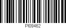 Código de barras (EAN, GTIN, SKU, ISBN): 'PI09462'