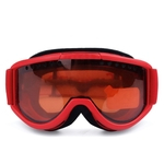 Adultos Ski Goggle Windproof Anti-sapo Proteção dos olhos Óculos Equipamento de esqui