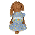 Bonito impressão Dot Vestido Tassel para o desgaste do animal de estimação Cães Spring Summer Outdoor