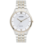 Citizen Ecodrive TZ20304B