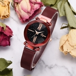 Fashion Starry Sky Stainless Steel Mesh Belt Watch Casual Quartz Analog Watch