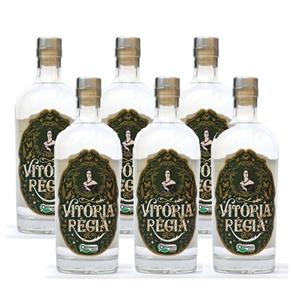 Gin Nacional Vitória Régia 750ml 06 Unidades