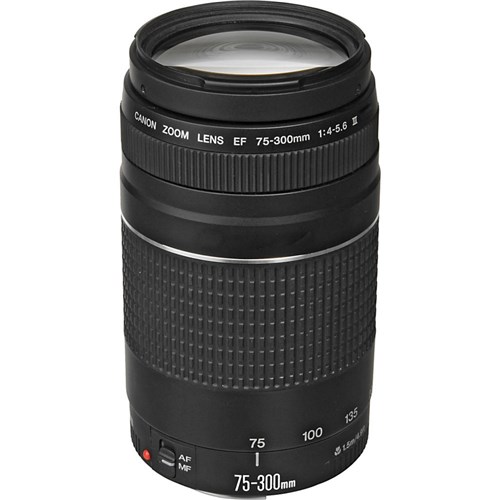 Lente Canon Ef 75-300Mm F/4-5.6 Iii****