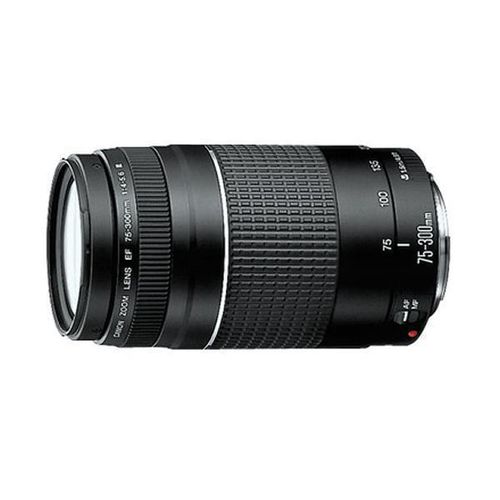 Lente Canon Ef 75 300mm Fibra 4 5 6 Iii