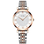 Luxo Feminino neg¨®cio de rel¨®gio de quartzo estrelado Assista Mulheres Diamante rel¨®gio de quartzo