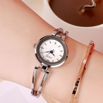 Mulheres pulseira de aço inoxidável impermeável relógio com caixa espiral para o Office Casual