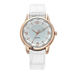 Mulheres Quartz Assista Two-color Dial Belt Assista Gostar