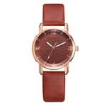 New Simples Ladies Watch tend¨ºncia da moda rel¨®gio de quartzo Ladies Watch J¨®ias