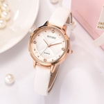 New Simples Ladies Watch tend¨ºncia da moda rel¨®gio de quartzo Ladies Watch J¨®ias