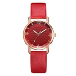 New Simples Ladies Watch tend¨ºncia da moda rel¨®gio de quartzo Ladies Watch J¨®ias