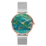 Novas comércio exterior reoulions relógio de moda popular relógio Coral Shell, aço inoxidável cinto de malha de relógio de quartzo