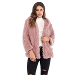 Outono Inverno Moda Manga Comprida Solta Plush Curto Com Capuz Jacket Casaco Quente Lady