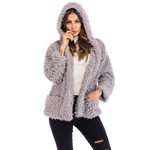 Outono Inverno moda manga comprida solta Plush curto com capuz Jacket casaco quente Lady