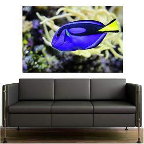 Painel Adesivo de Parede - Blue Tang - 070pnp