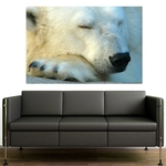 Painel Adesivo de Parede - Urso Polar - 215pnp