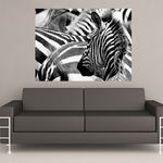 Painel Adesivo de Parede - Zebras - N2011